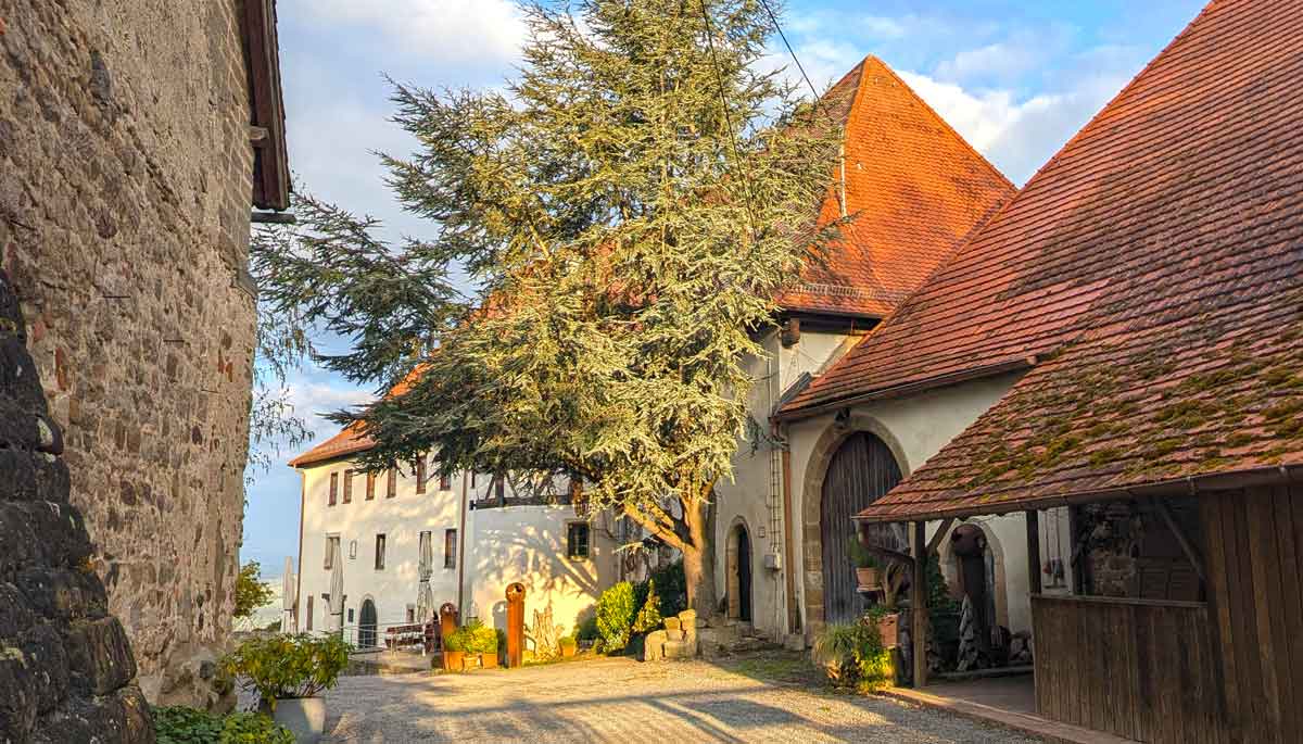 Schloss Hohenentringen