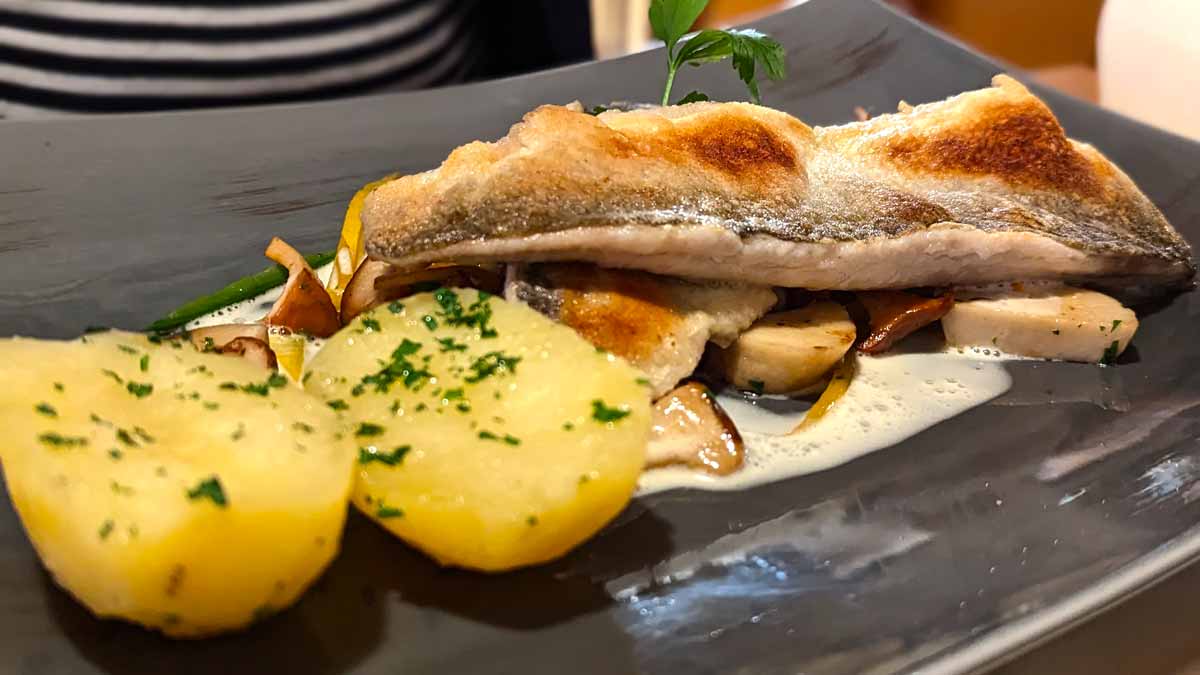 Forelle mit Salzkartoffeln