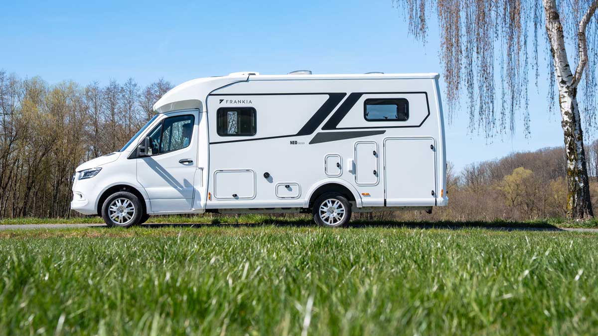 Frankia Neo Cruiser